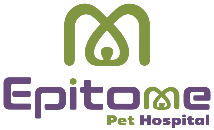 Epitome Pet Hospital